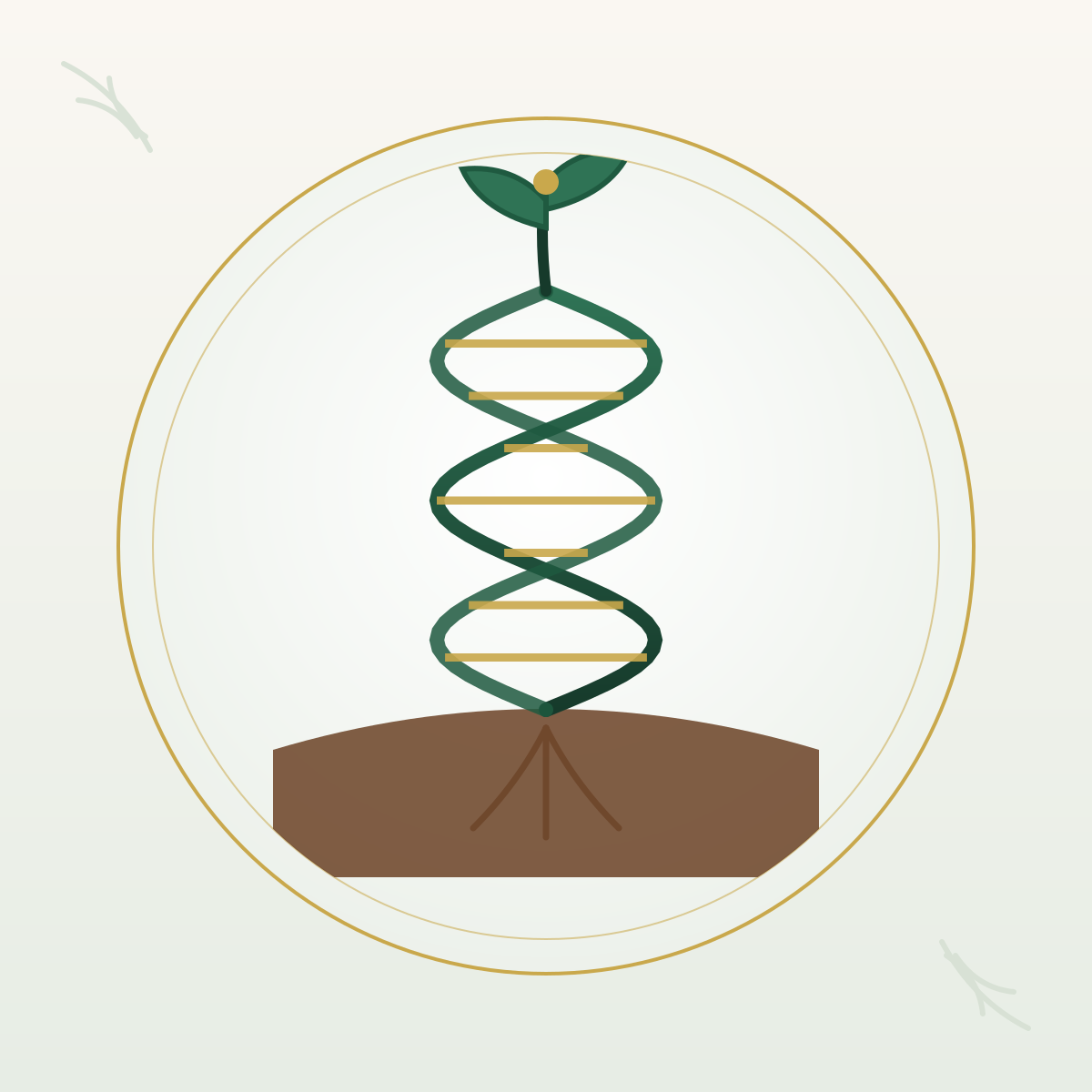 Chapter 2: Academic Foundation