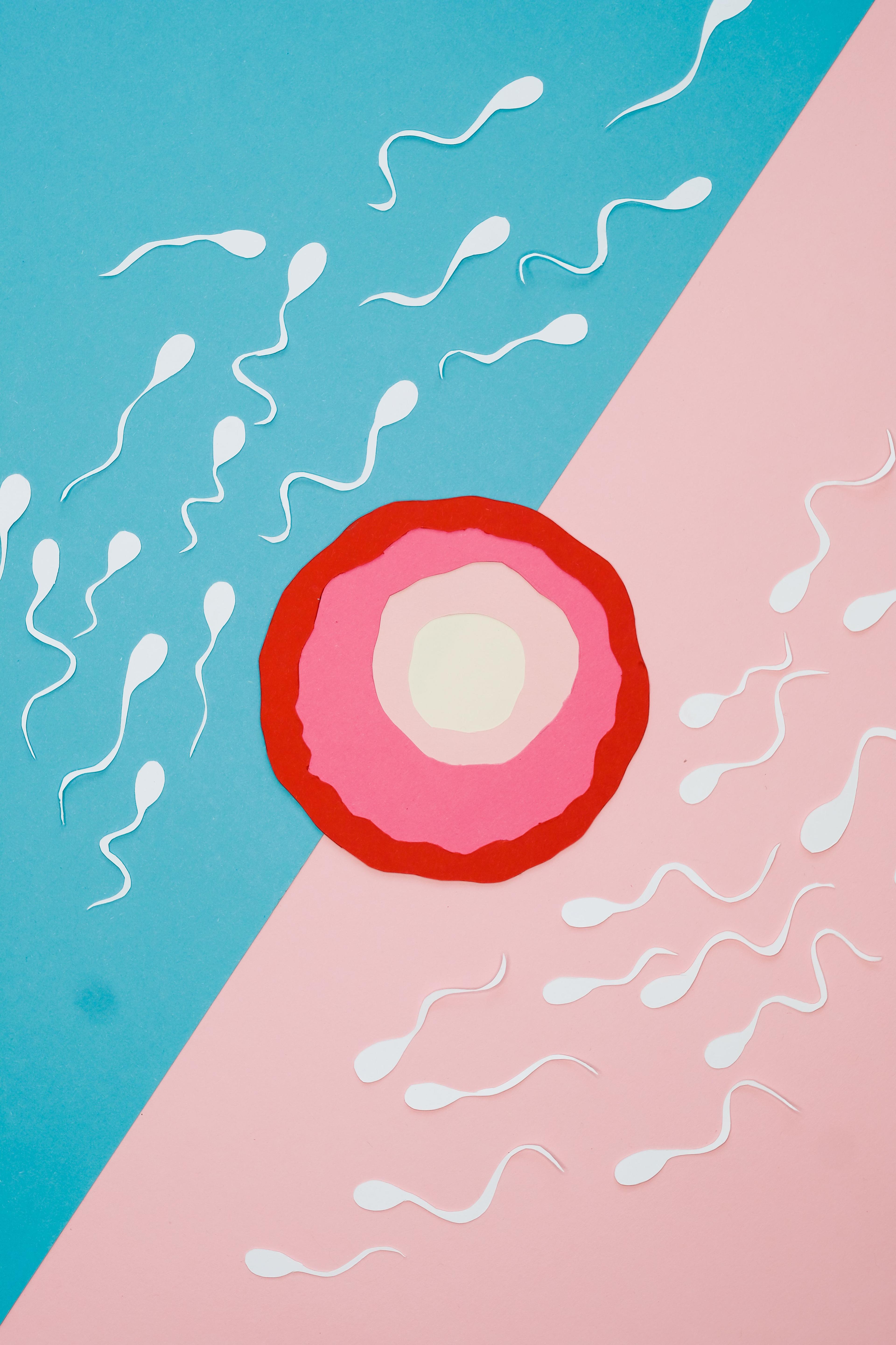 Infertility & Reproductive Health